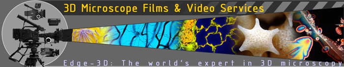 Video Microscopy Services film through the microscope microscopic movies