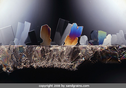sugar  under the microscope microscopic food photography art photo microscopy artwork
