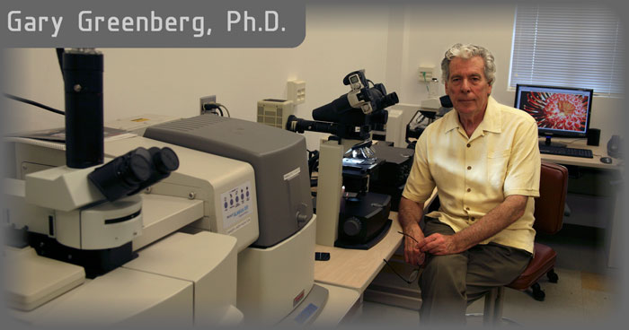 Doctor Dr. Gary Greenberg Ph.D. Microscopist microscopy microscope man sand grains art and science micro photography videography microscopic video
