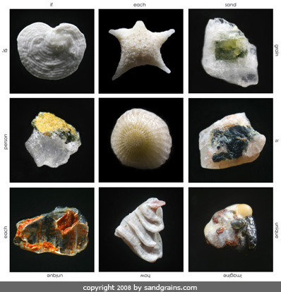 Purchase artworks of Sand grains under the microscope microscopic sand photography art photo microscopy artwork