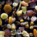 20A Sand grains under the microscope microscopic sand photography art photo microscopy artwork