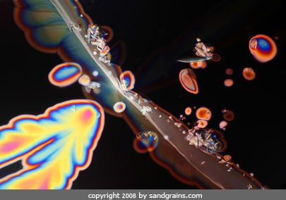 zinfandel  under the microscope microscopic food photography art photo microscopy artwork